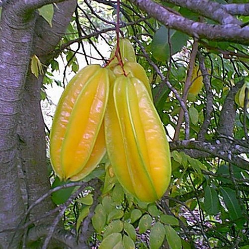 Produk 1
